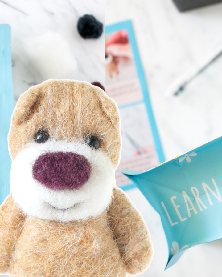 Bobbi the Bear Needle Felting Kit