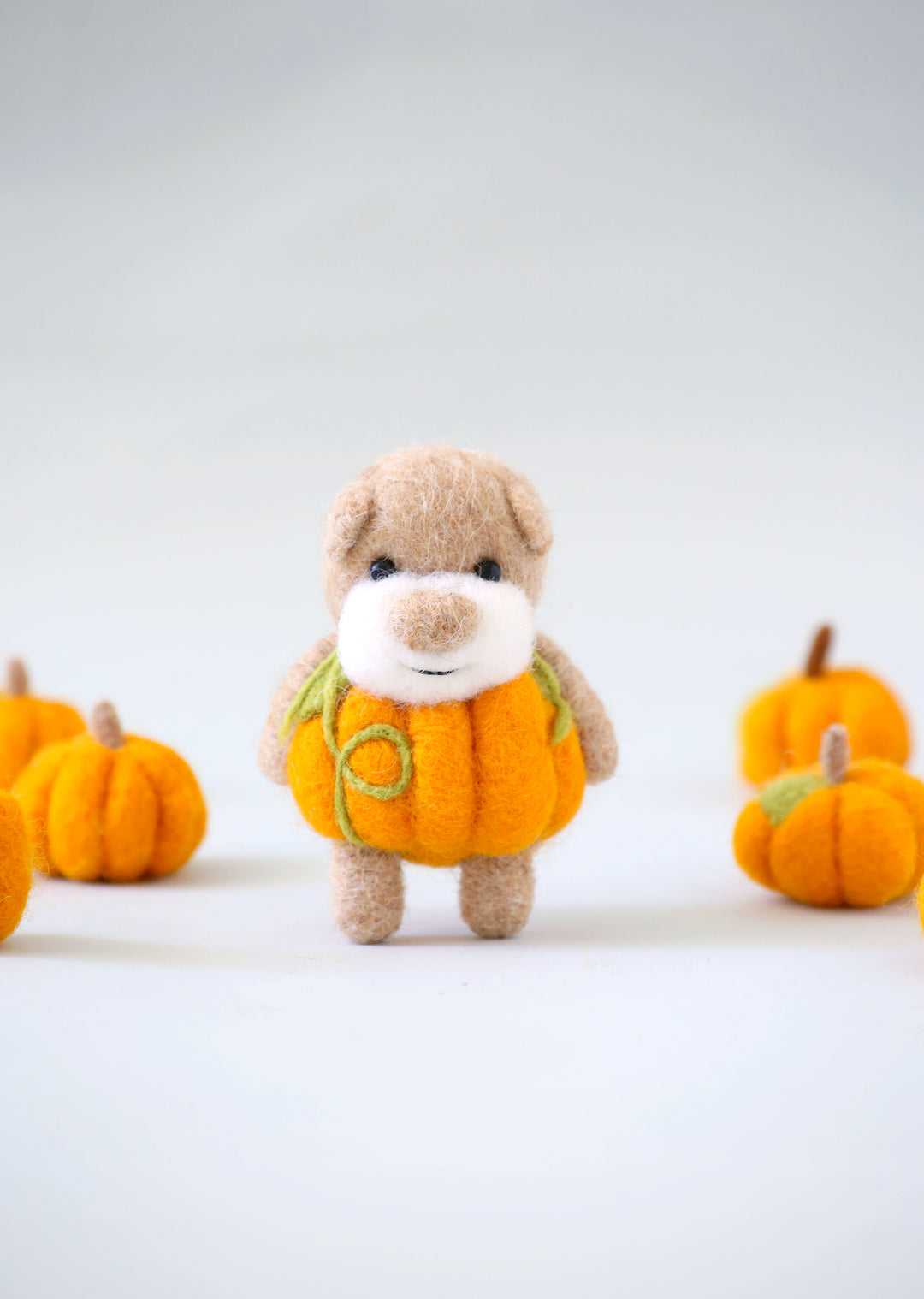 Pocket Pumpkin Bear