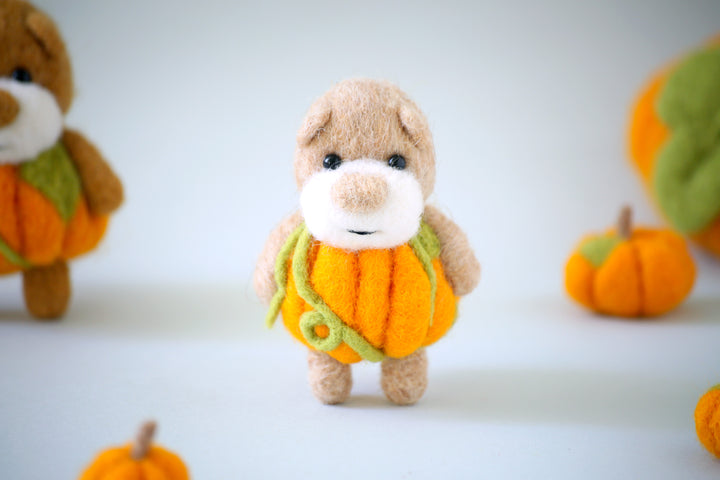 Pocket Pumpkin Bear