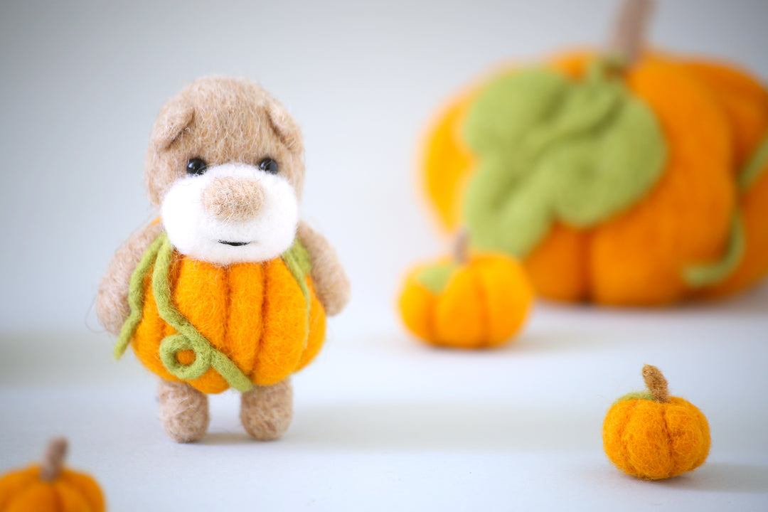 Pocket Pumpkin Bear