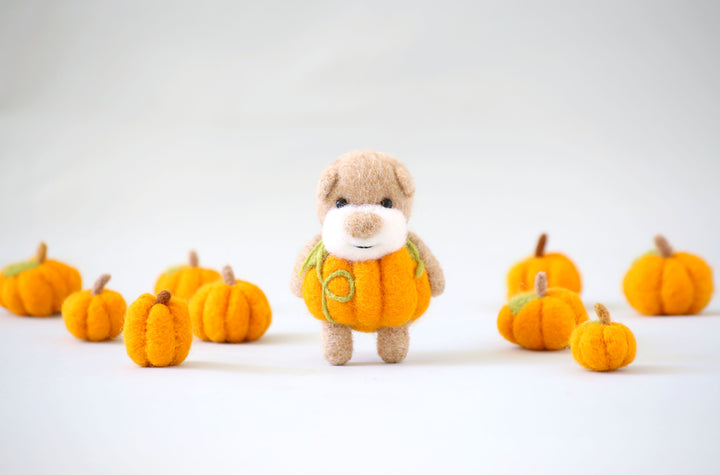 Pocket Pumpkin Bear