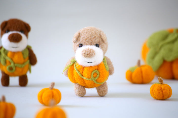 Pocket Pumpkin Bear