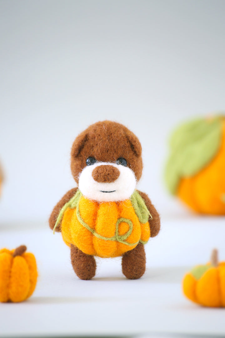 Pocket Pumpkin Bear