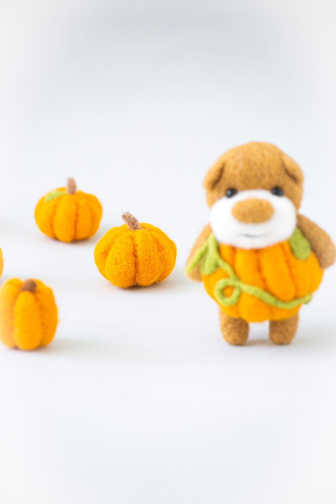 Pocket Pumpkin Bear