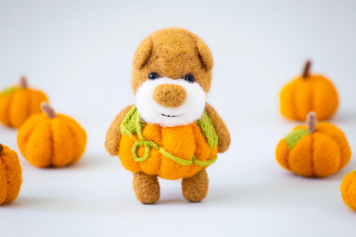 Pocket Pumpkin Bear