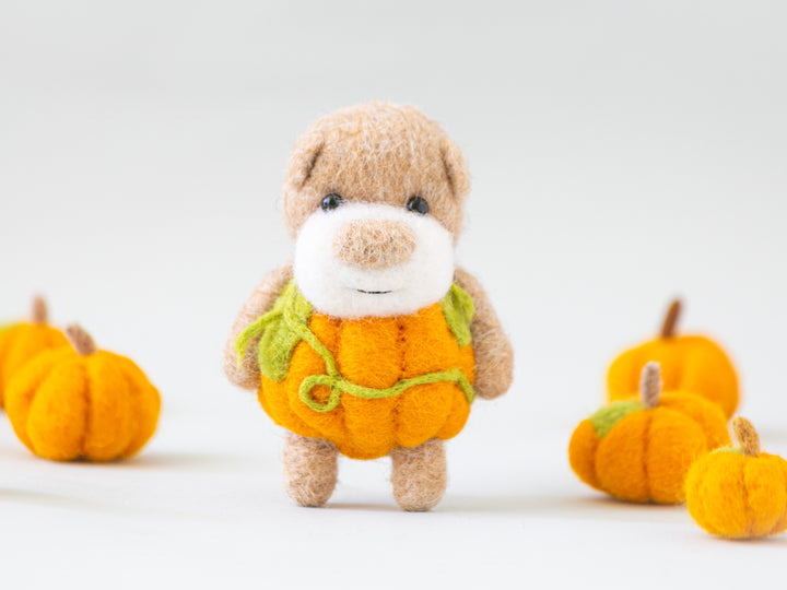 Pocket Pumpkin Bear
