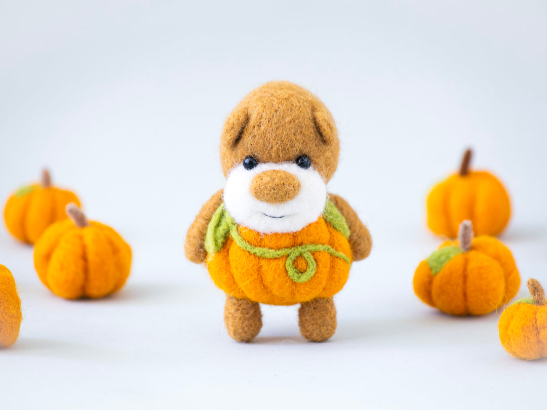 Pocket Pumpkin Bear