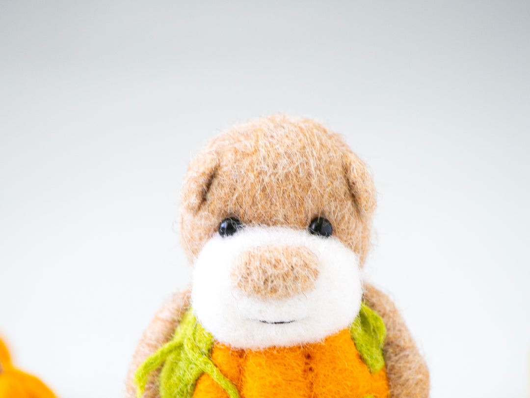 Pocket Pumpkin Bear