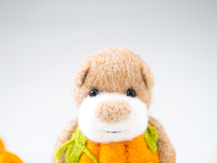 Pocket Pumpkin Bear