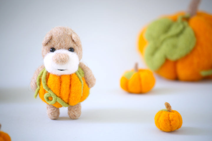 Pocket Pumpkin Bear