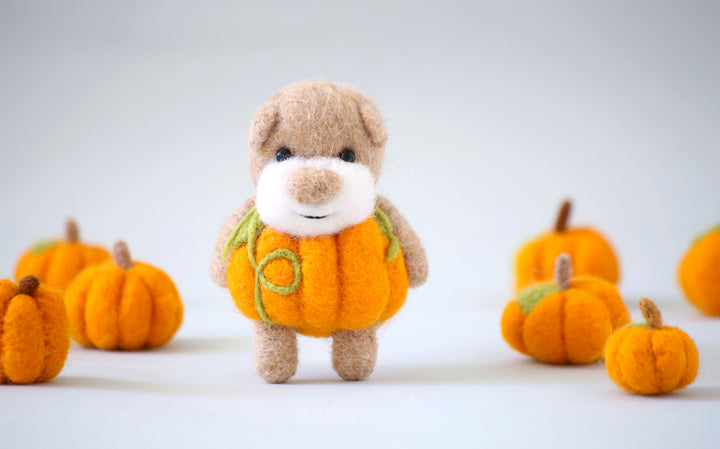 Pocket Pumpkin Bear