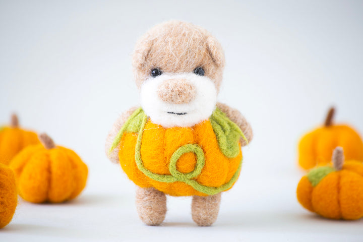 Pocket Pumpkin Bear