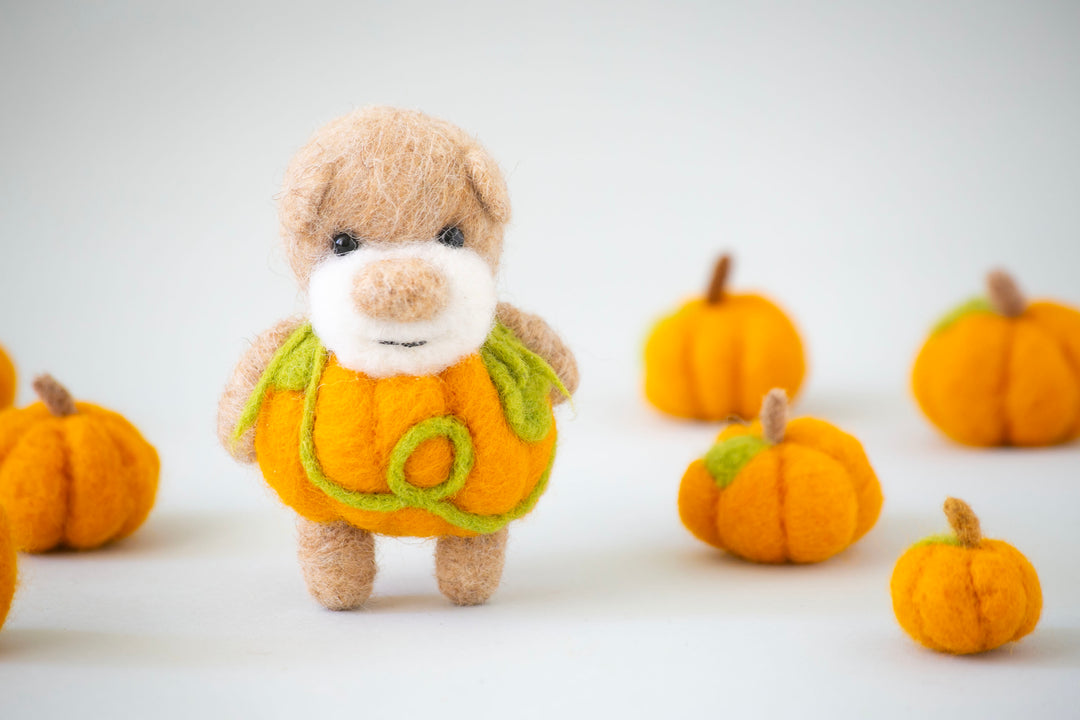 Pocket Pumpkin Bear