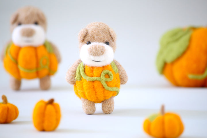 Pocket Pumpkin Bear