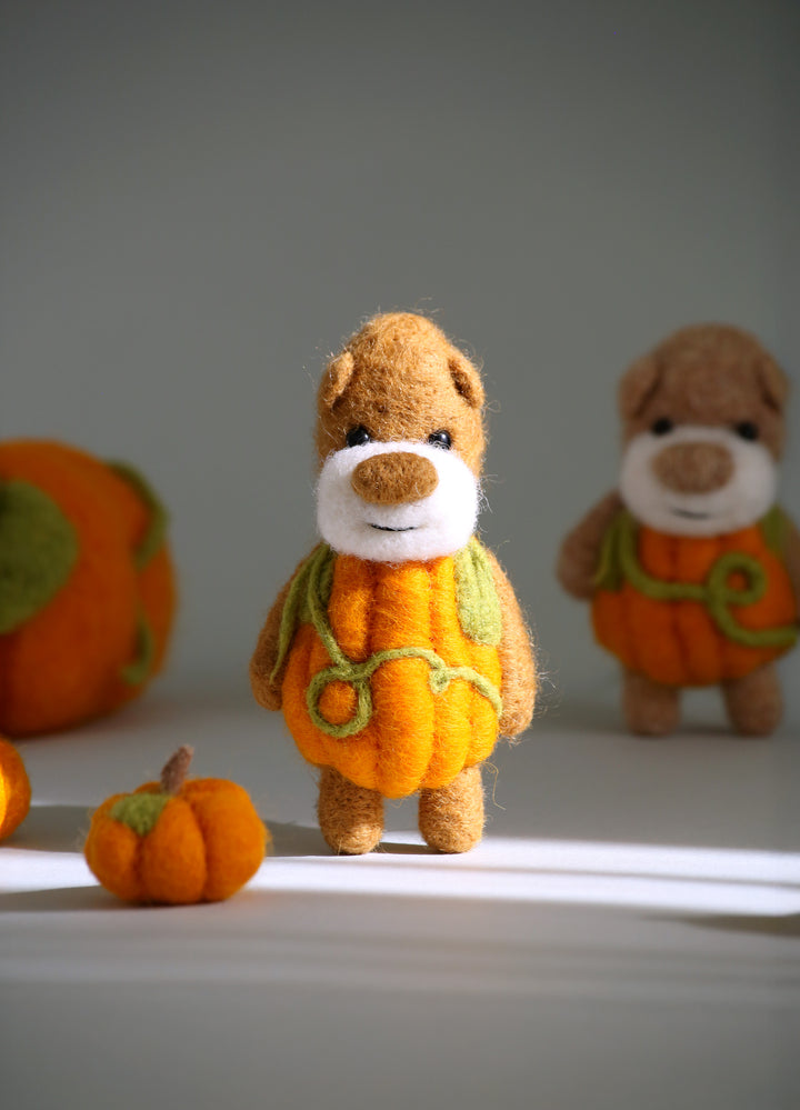 Pocket Pumpkin Bear
