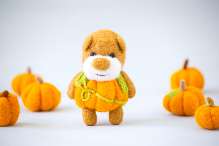 Pocket Pumpkin Bear