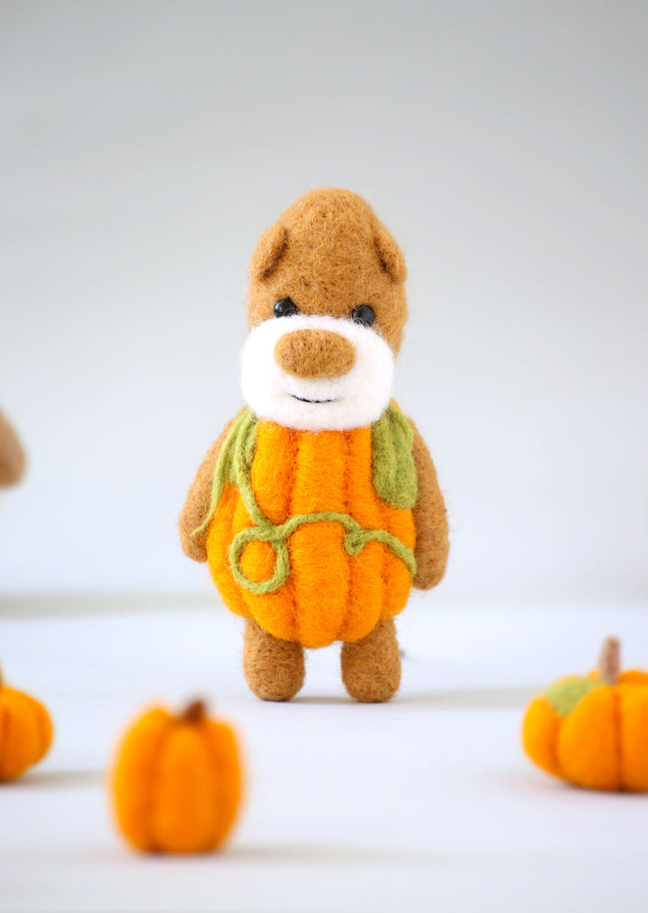 Pocket Pumpkin Bear