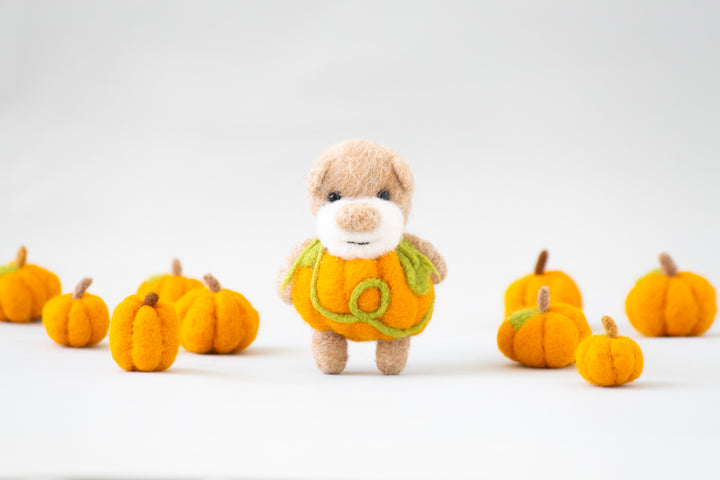 Pocket Pumpkin Bear