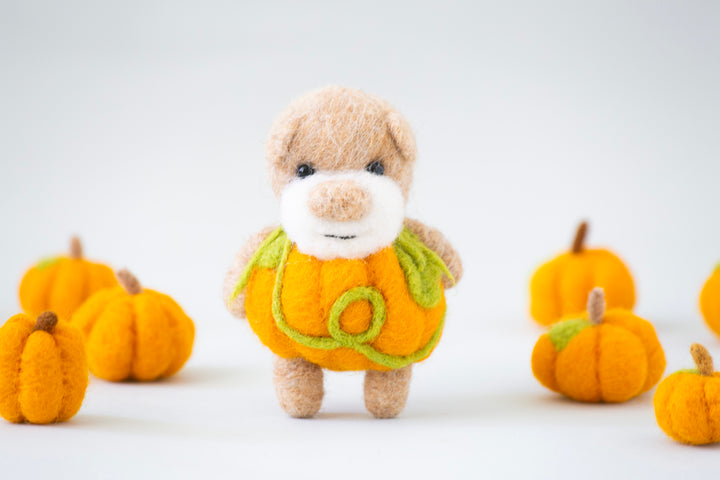 Pocket Pumpkin Bear
