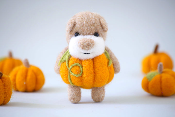 Pocket Pumpkin Bear