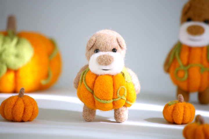 Pocket Pumpkin Bear