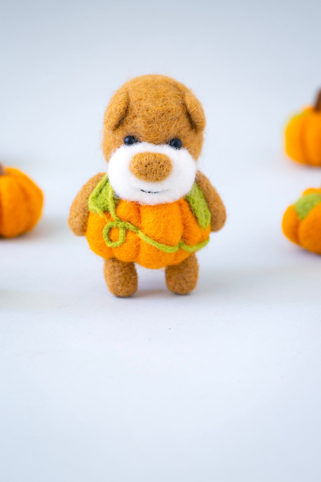 Pocket Pumpkin Bear