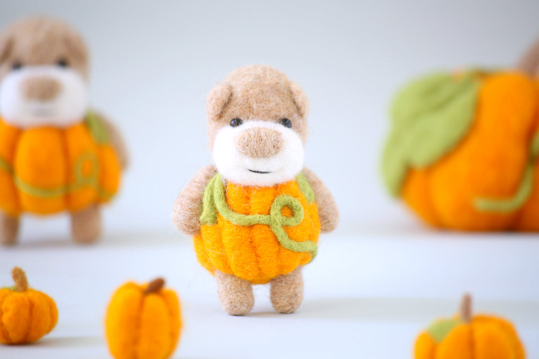 Pocket Pumpkin Bear
