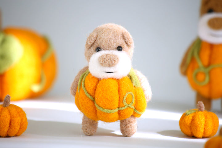 Pocket Pumpkin Bear