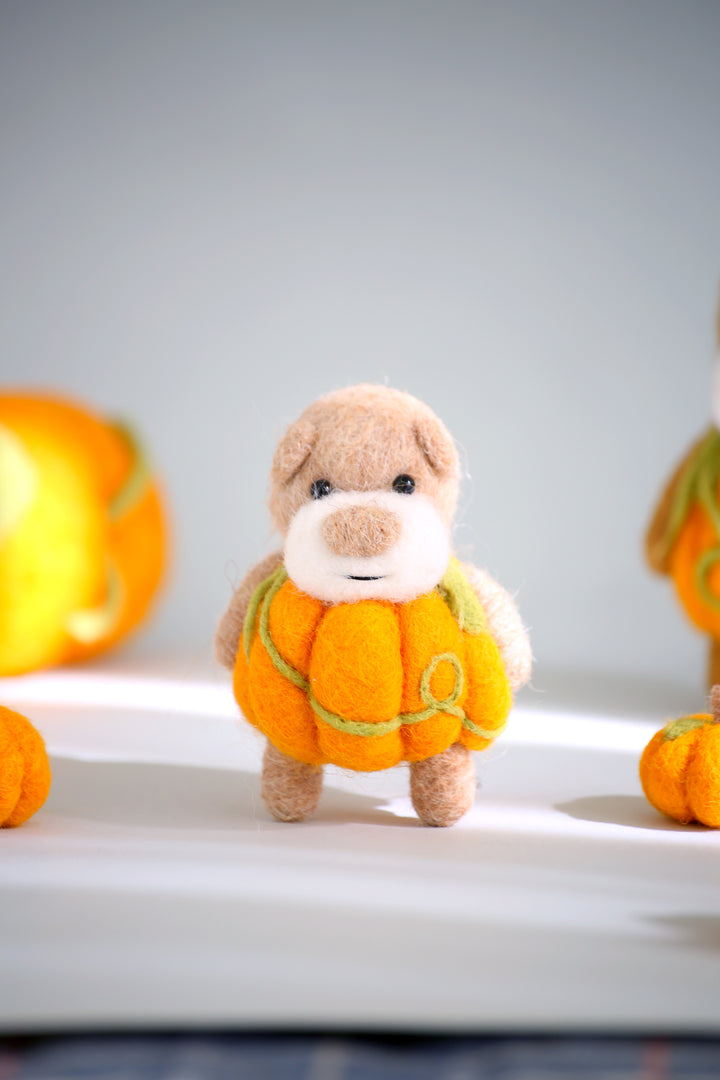 Pocket Pumpkin Bear