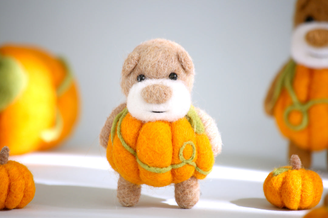 Pocket Pumpkin Bear