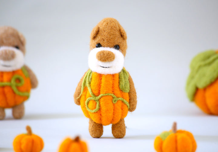 Pocket Pumpkin Bear