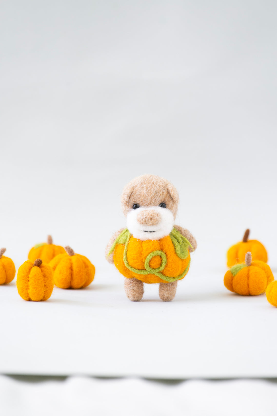 Pocket Pumpkin Bear
