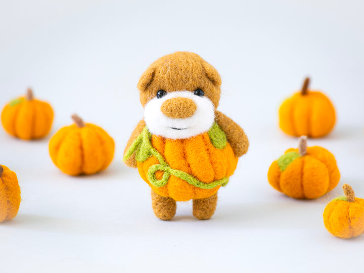Pocket Pumpkin Bear