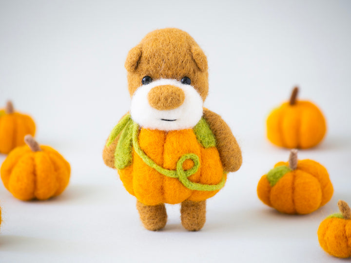 Pocket Pumpkin Bear