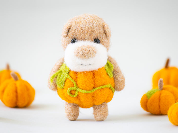 Pocket Pumpkin Bear