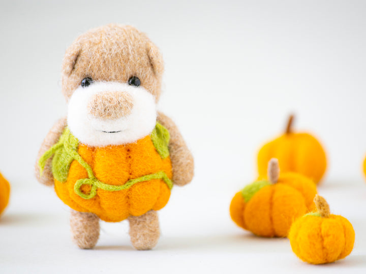 Pocket Pumpkin Bear