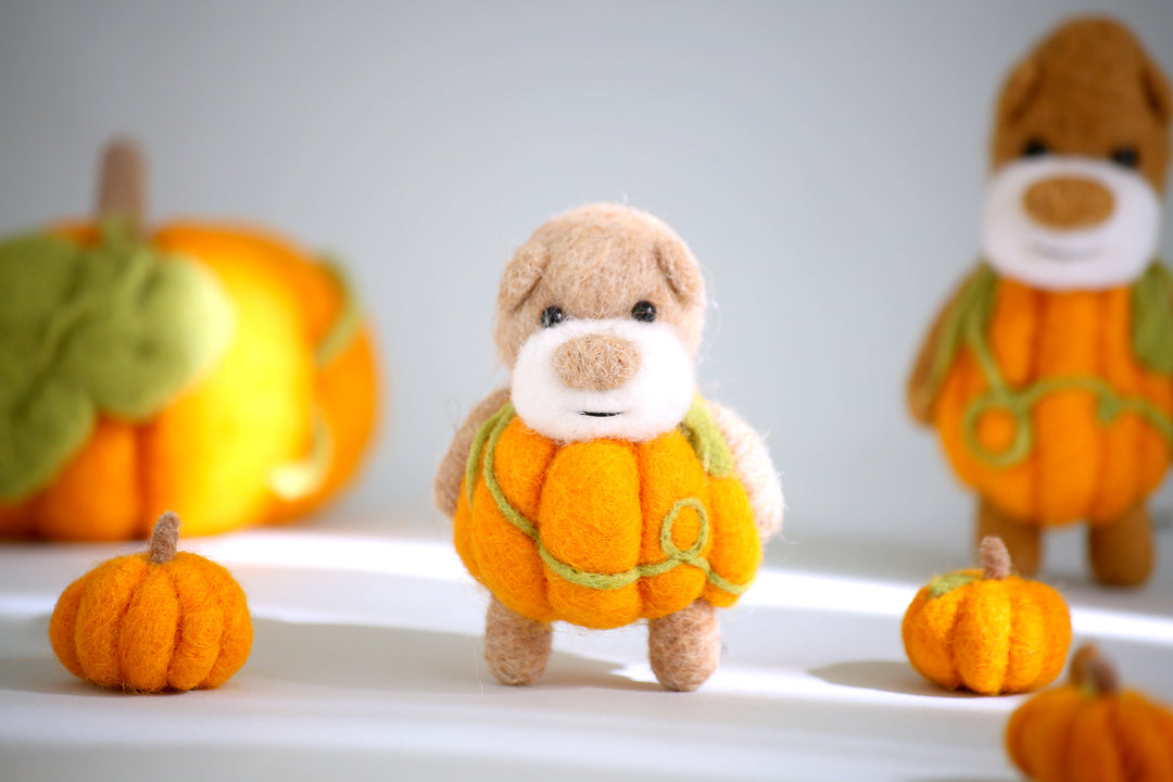 Pocket Pumpkin Bear
