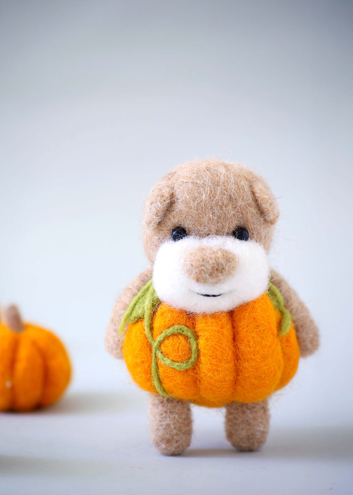 Pocket Pumpkin Bear