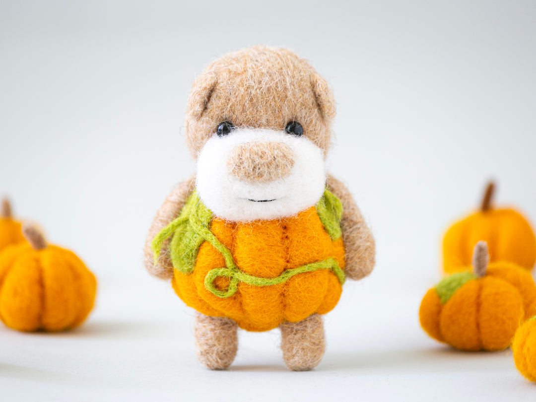 Pocket Pumpkin Bear