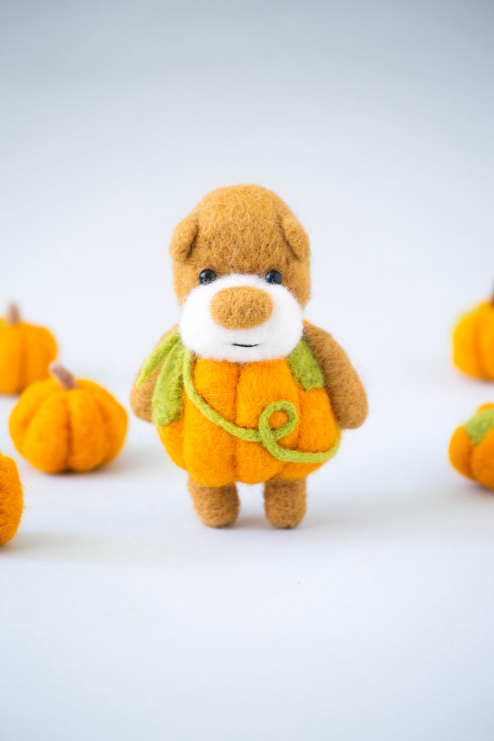 Pocket Pumpkin Bear