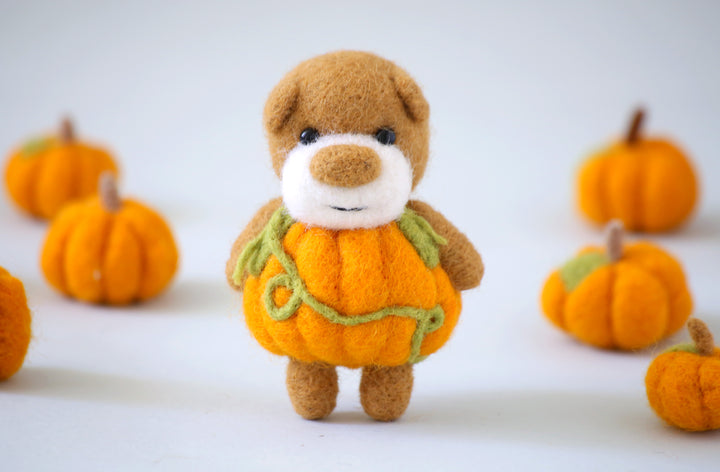 Pocket Pumpkin Bear