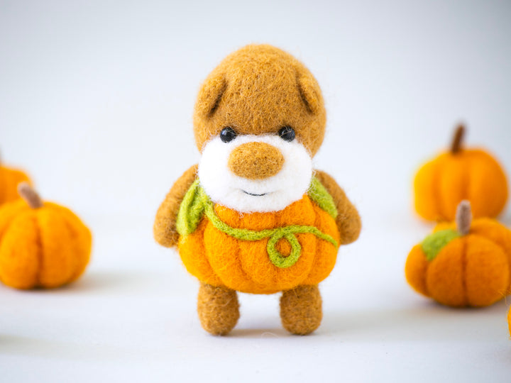 Pocket Pumpkin Bear