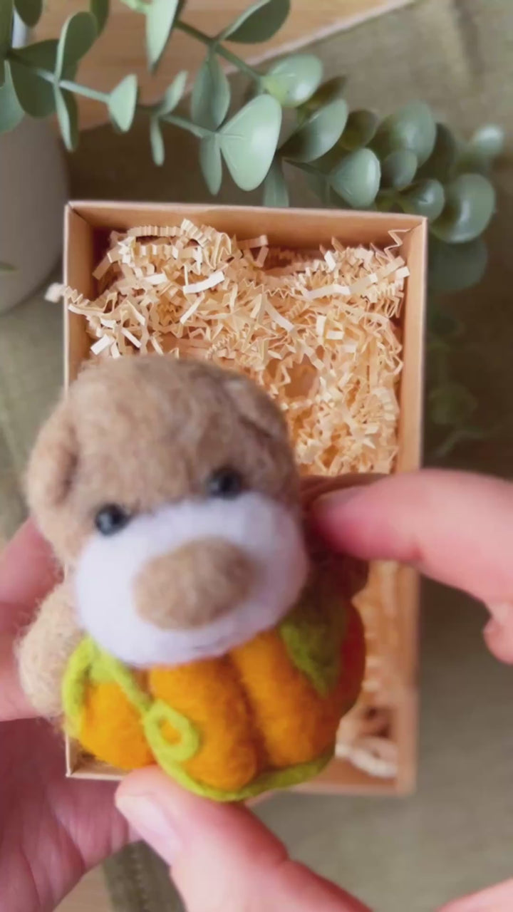 Pocket Pumpkin Bear