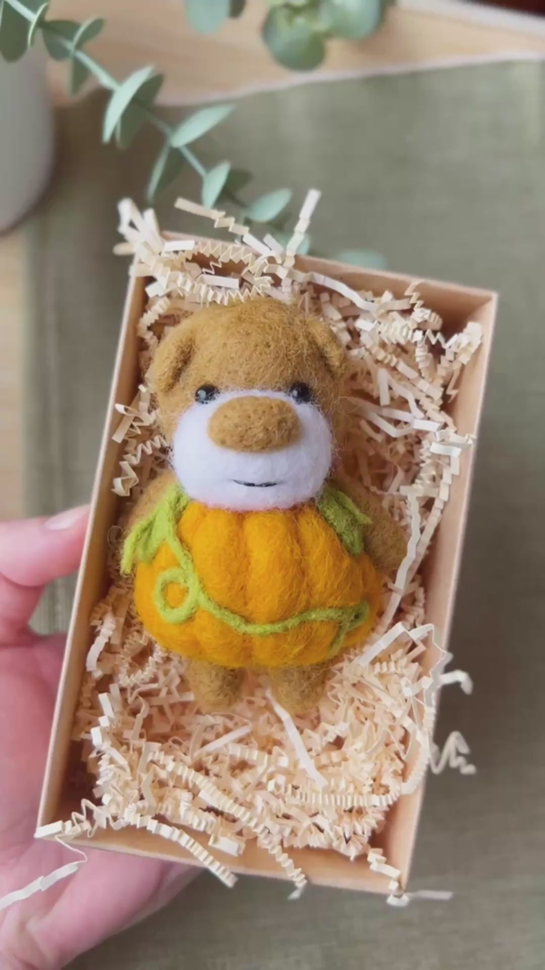 Pocket Pumpkin Bear