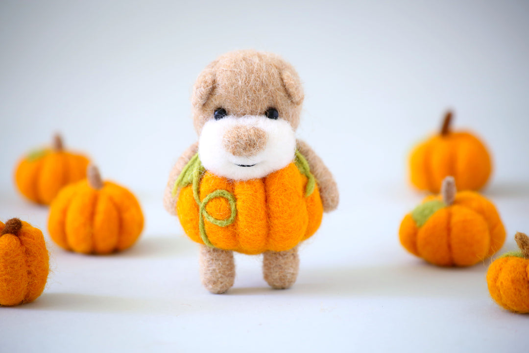 Pocket Pumpkin Bear