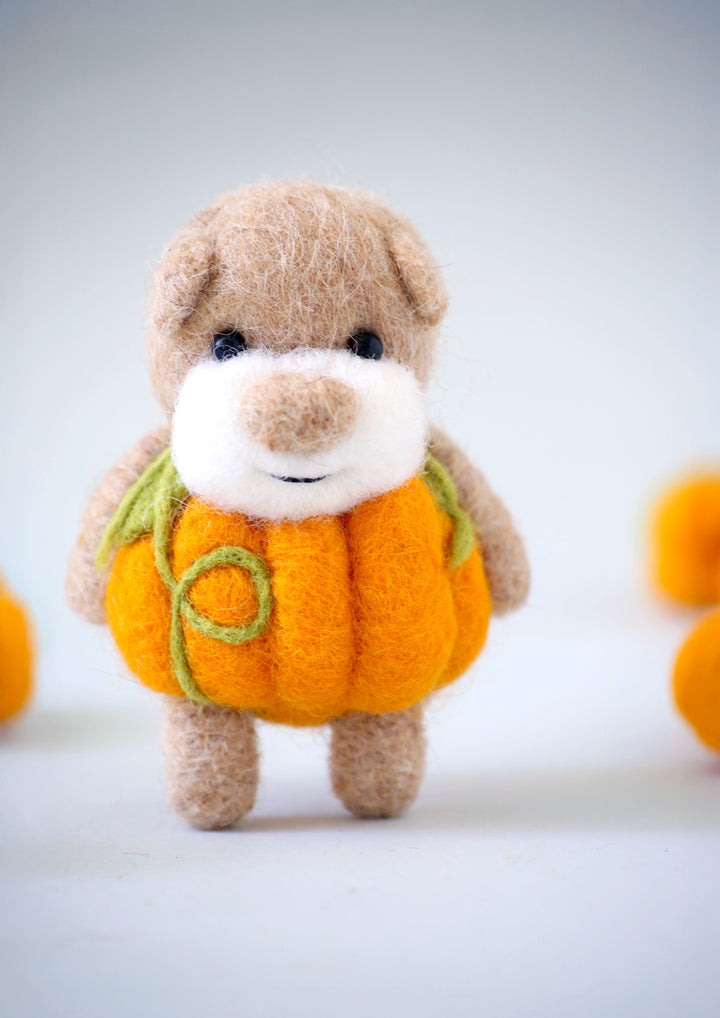 Pocket Pumpkin Bear